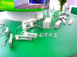 亞津傳感器秤 100t稱重磅與河南模塊秤的計算機軟硬件技術開發